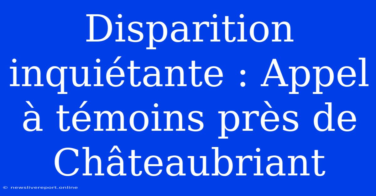 Disparition Inquiétante : Appel À Témoins Près De Châteaubriant