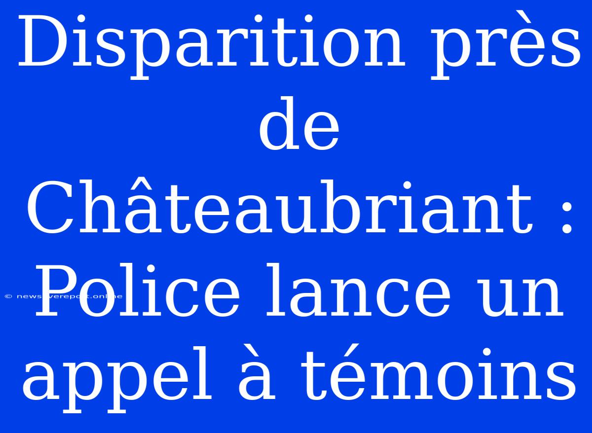 Disparition Près De Châteaubriant : Police Lance Un Appel À Témoins