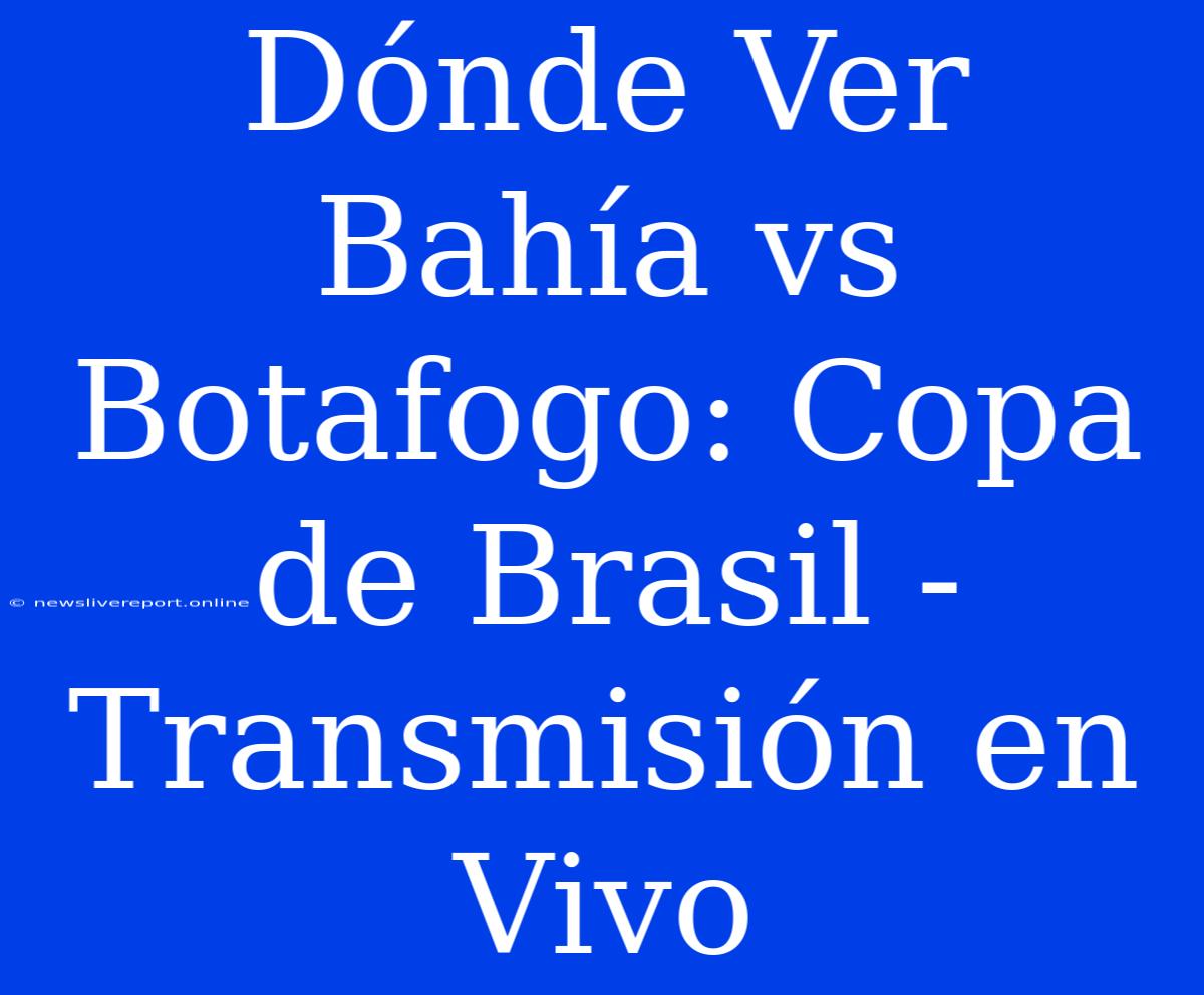 Dónde Ver Bahía Vs Botafogo: Copa De Brasil - Transmisión En Vivo