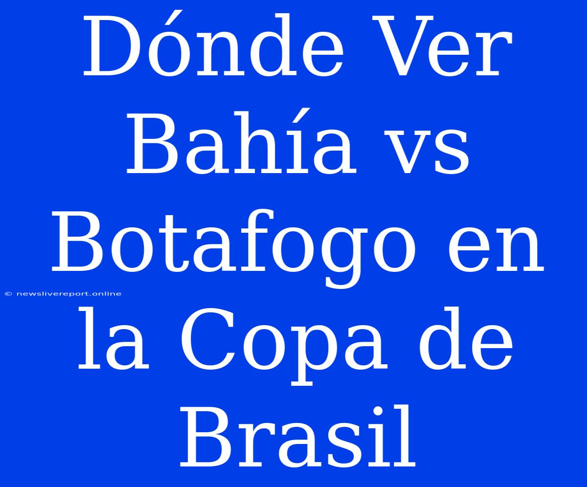 Dónde Ver Bahía Vs Botafogo En La Copa De Brasil