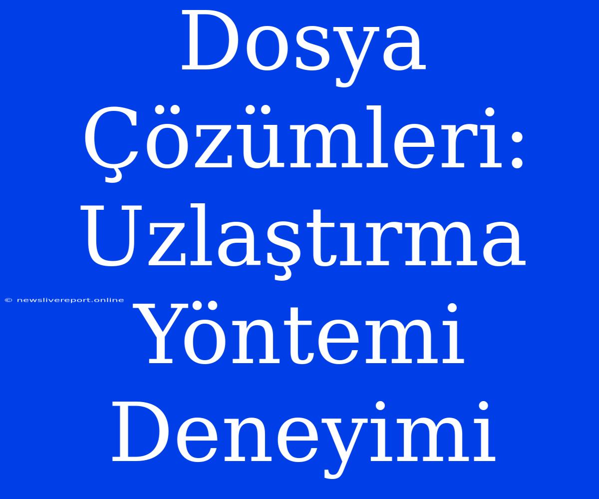 Dosya Çözümleri: Uzlaştırma Yöntemi Deneyimi