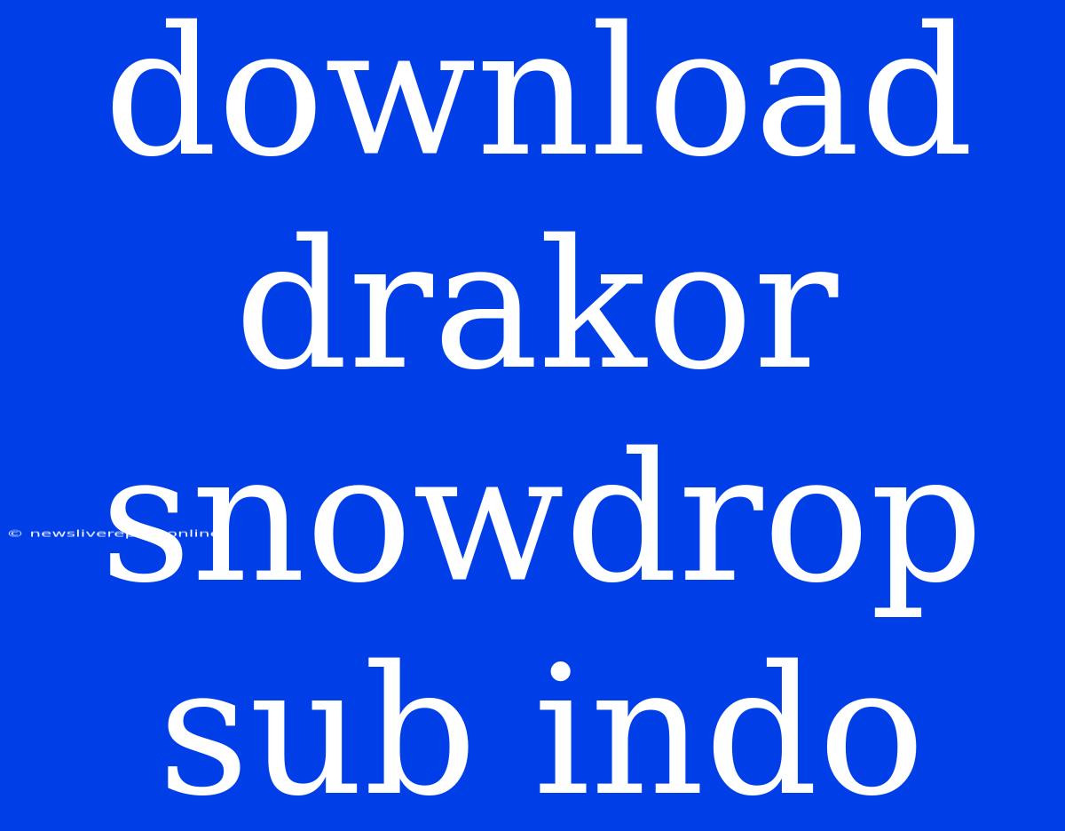 Download Drakor Snowdrop Sub Indo