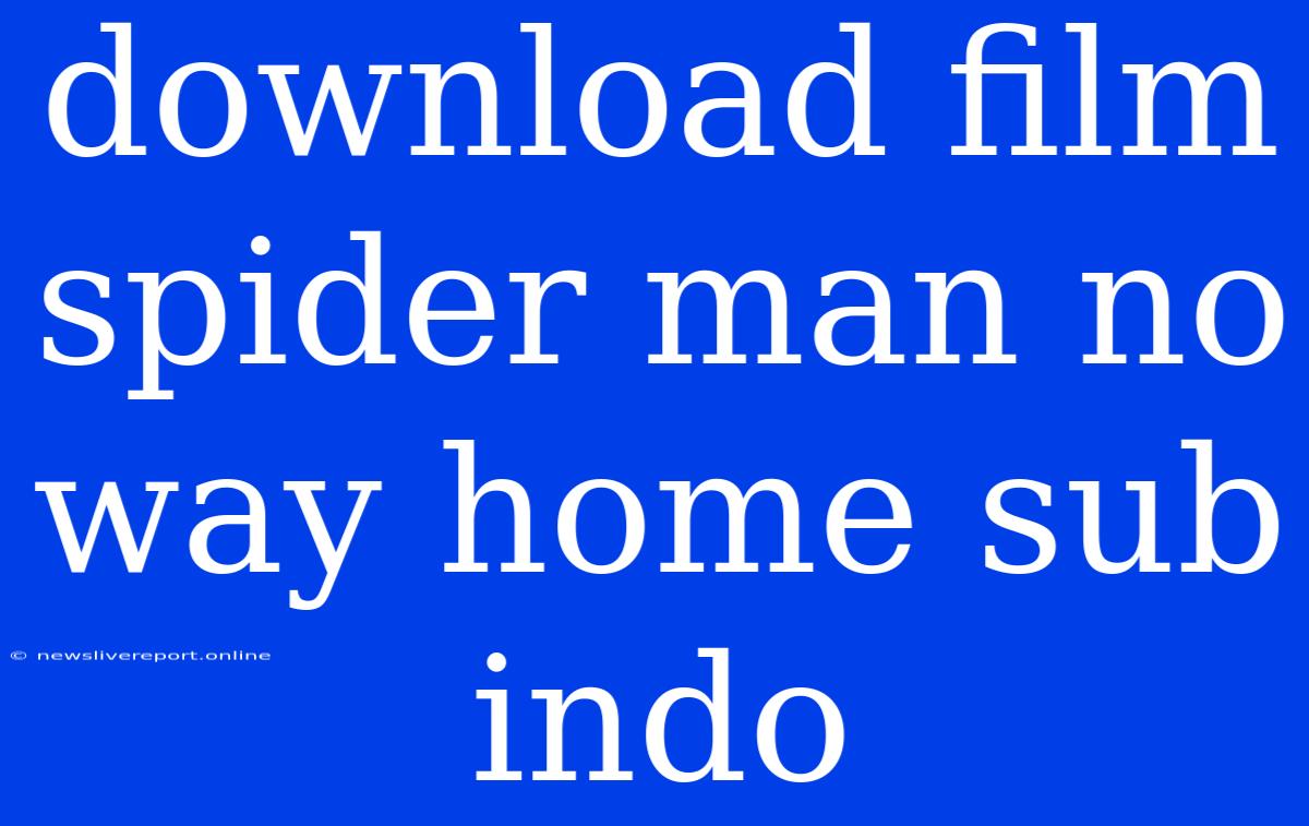 Download Film Spider Man No Way Home Sub Indo