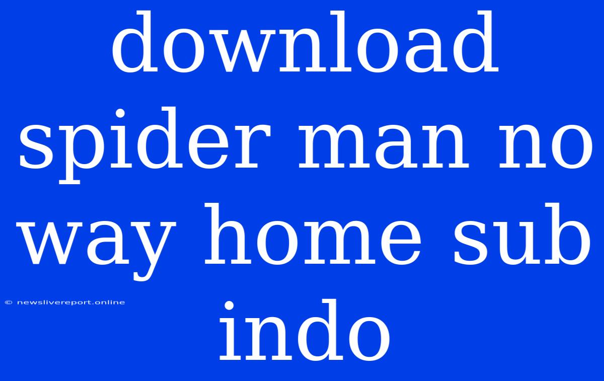 Download Spider Man No Way Home Sub Indo