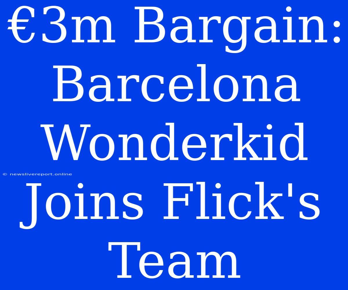 €3m Bargain: Barcelona Wonderkid Joins Flick's Team