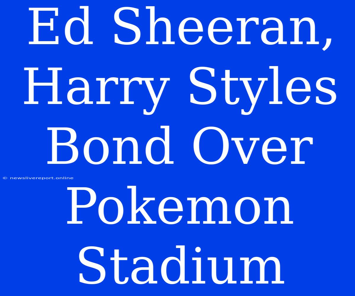 Ed Sheeran, Harry Styles Bond Over Pokemon Stadium