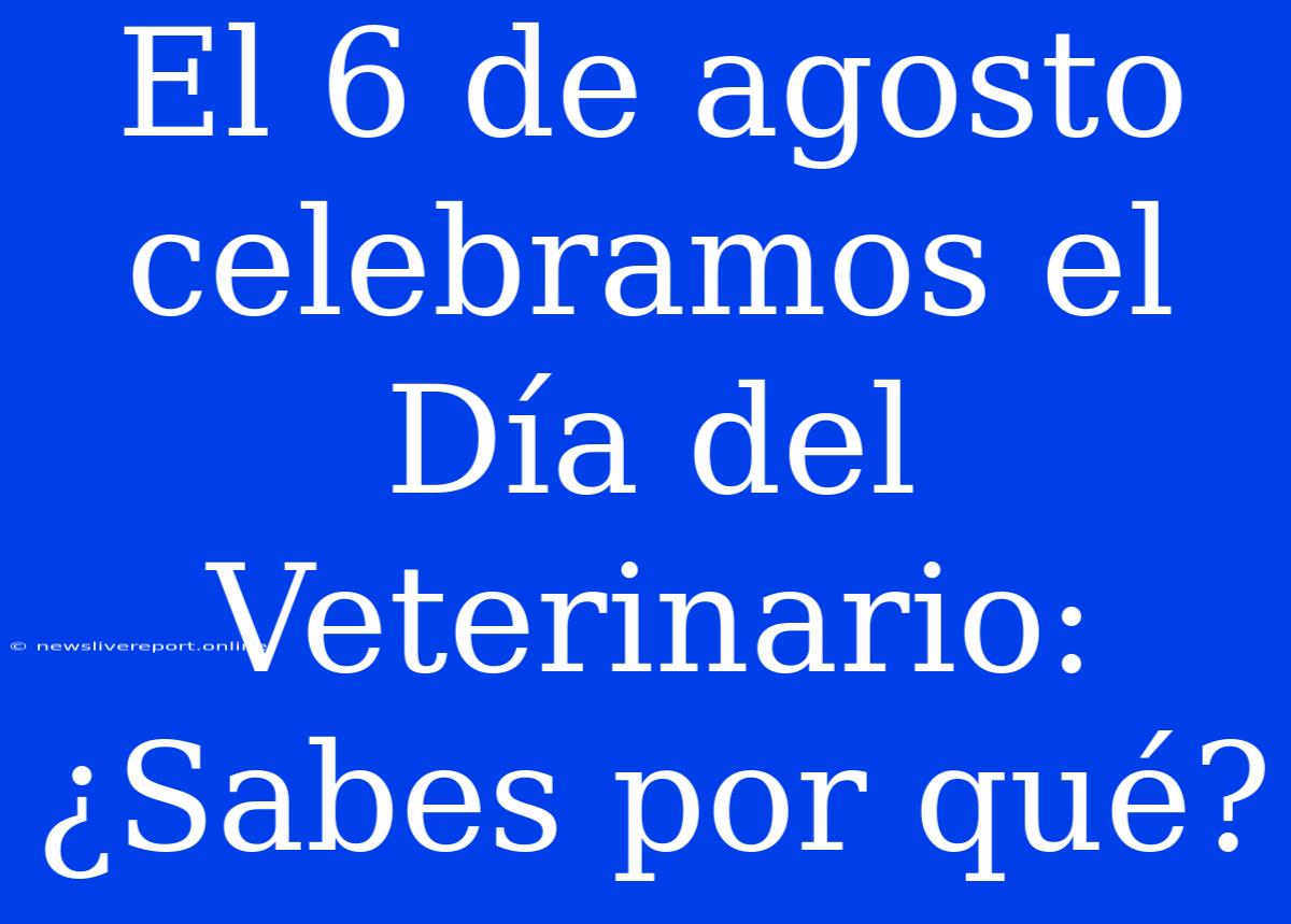 El 6 De Agosto Celebramos El Día Del Veterinario: ¿Sabes Por Qué?