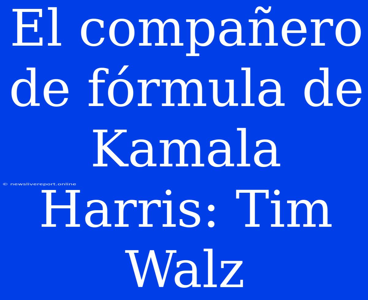 El Compañero De Fórmula De Kamala Harris: Tim Walz