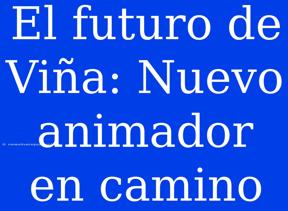 El Futuro De Viña: Nuevo Animador En Camino