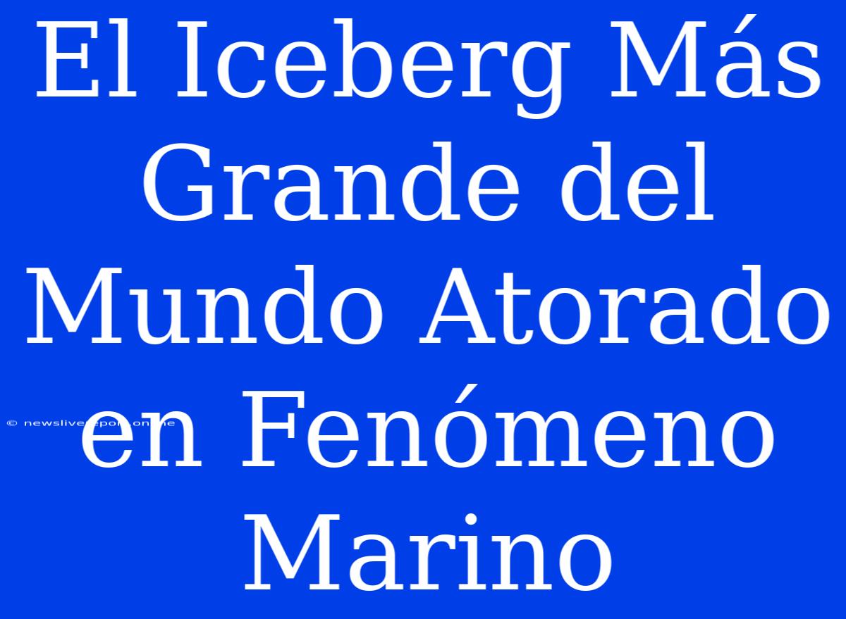 El Iceberg Más Grande Del Mundo Atorado En Fenómeno Marino