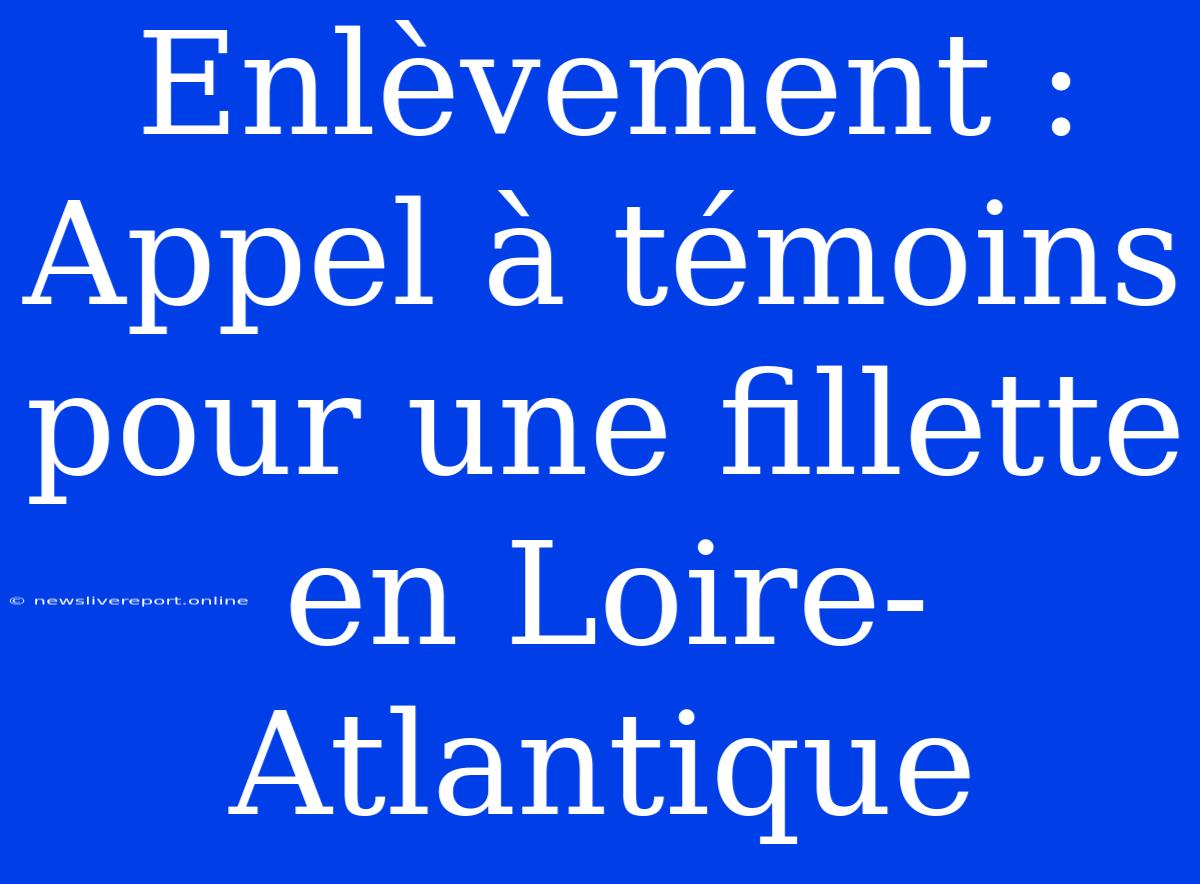 Enlèvement : Appel À Témoins Pour Une Fillette En Loire-Atlantique