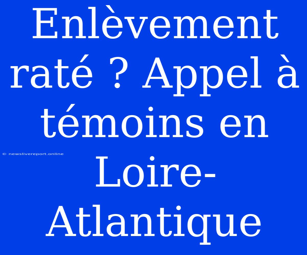 Enlèvement Raté ? Appel À Témoins En Loire-Atlantique