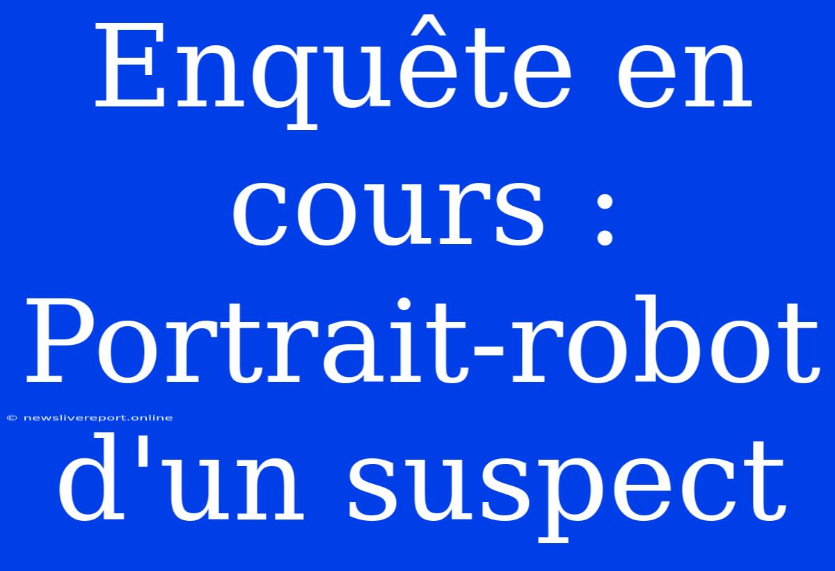 Enquête En Cours : Portrait-robot D'un Suspect