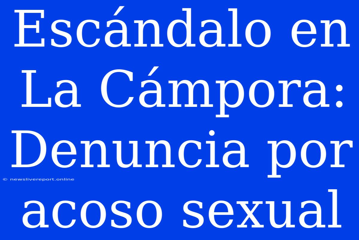 Escándalo En La Cámpora: Denuncia Por Acoso Sexual