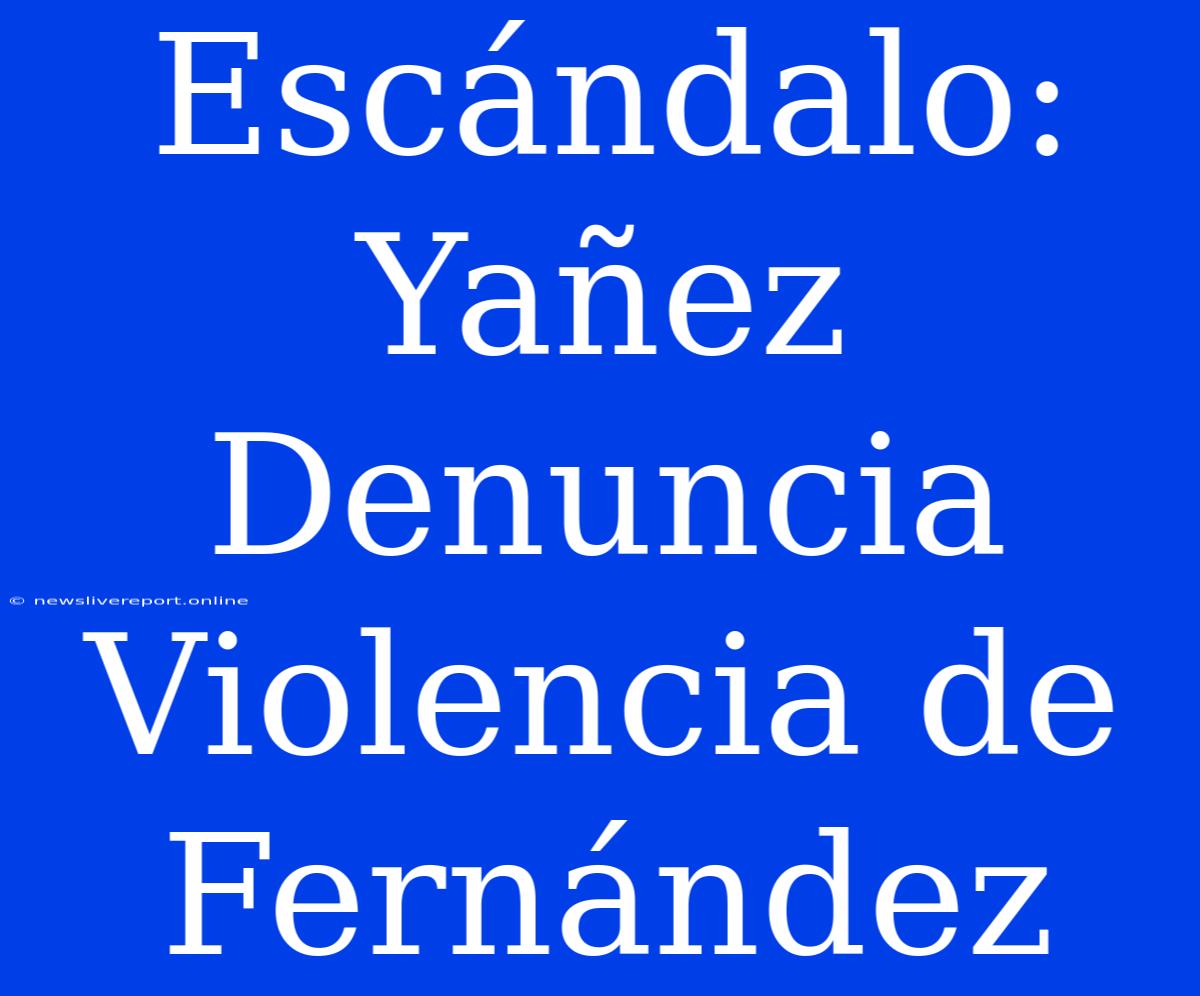 Escándalo: Yañez Denuncia Violencia De Fernández