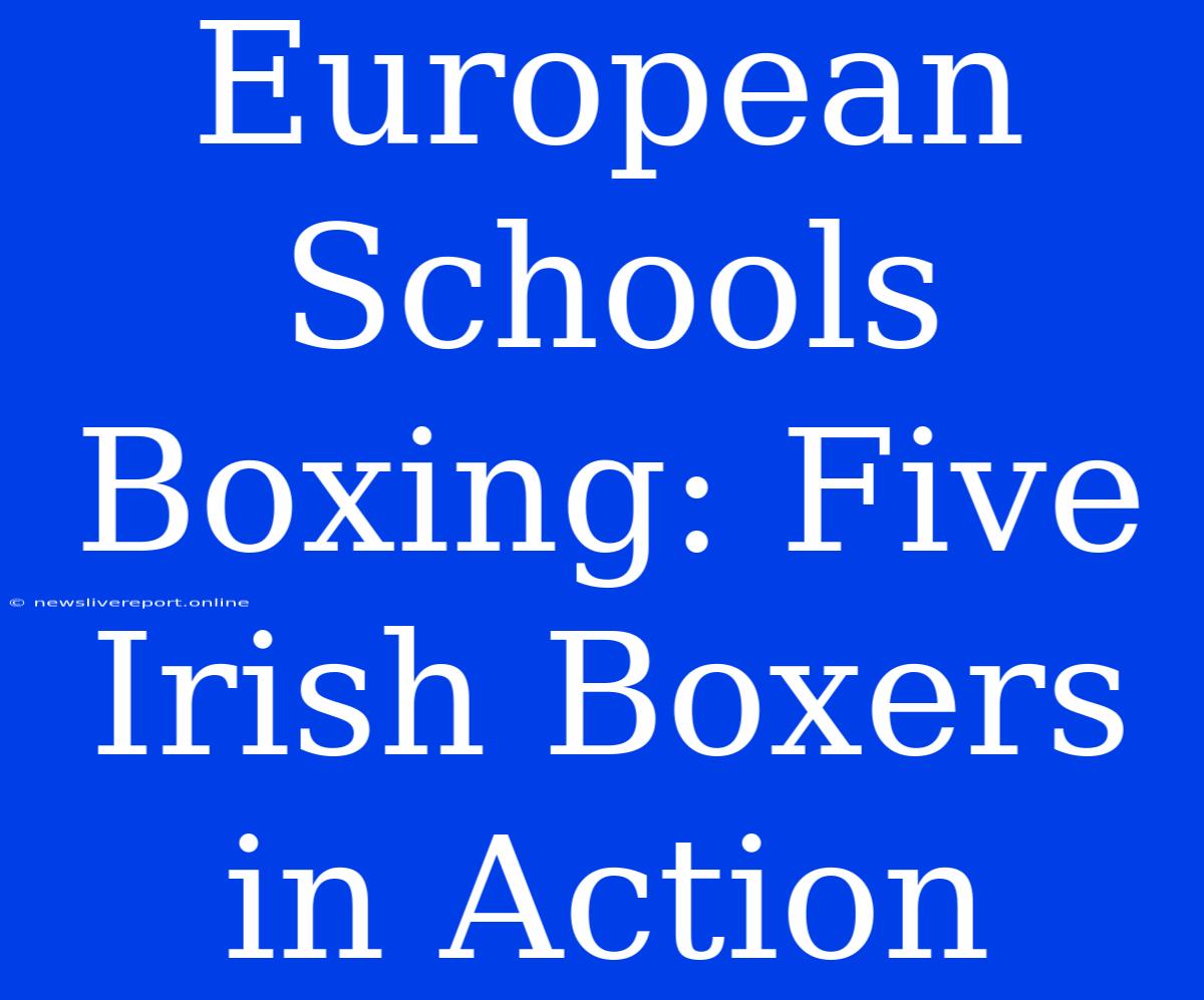 European Schools Boxing: Five Irish Boxers In Action