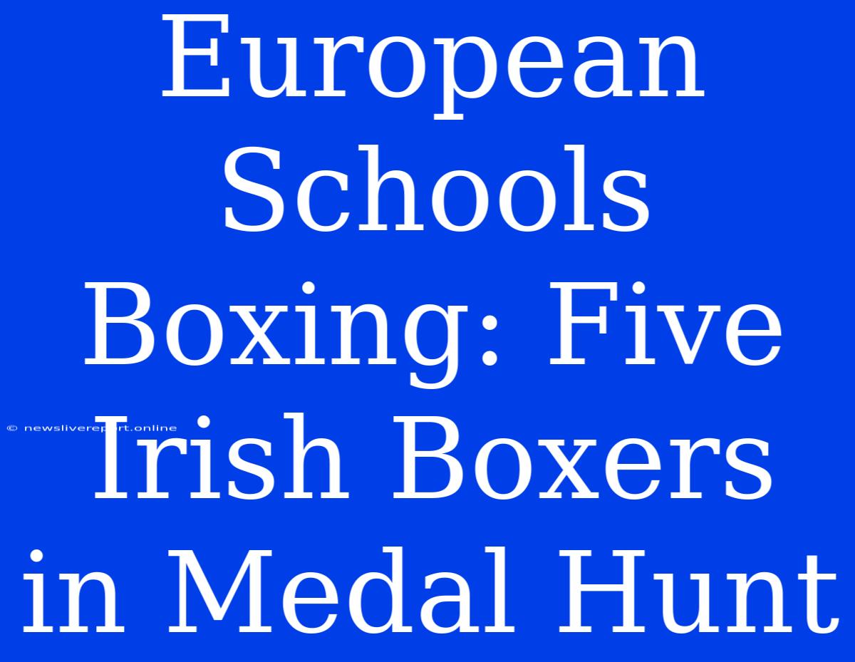 European Schools Boxing: Five Irish Boxers In Medal Hunt