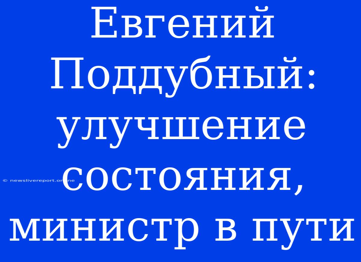 Евгений Поддубный: Улучшение Состояния, Министр В Пути