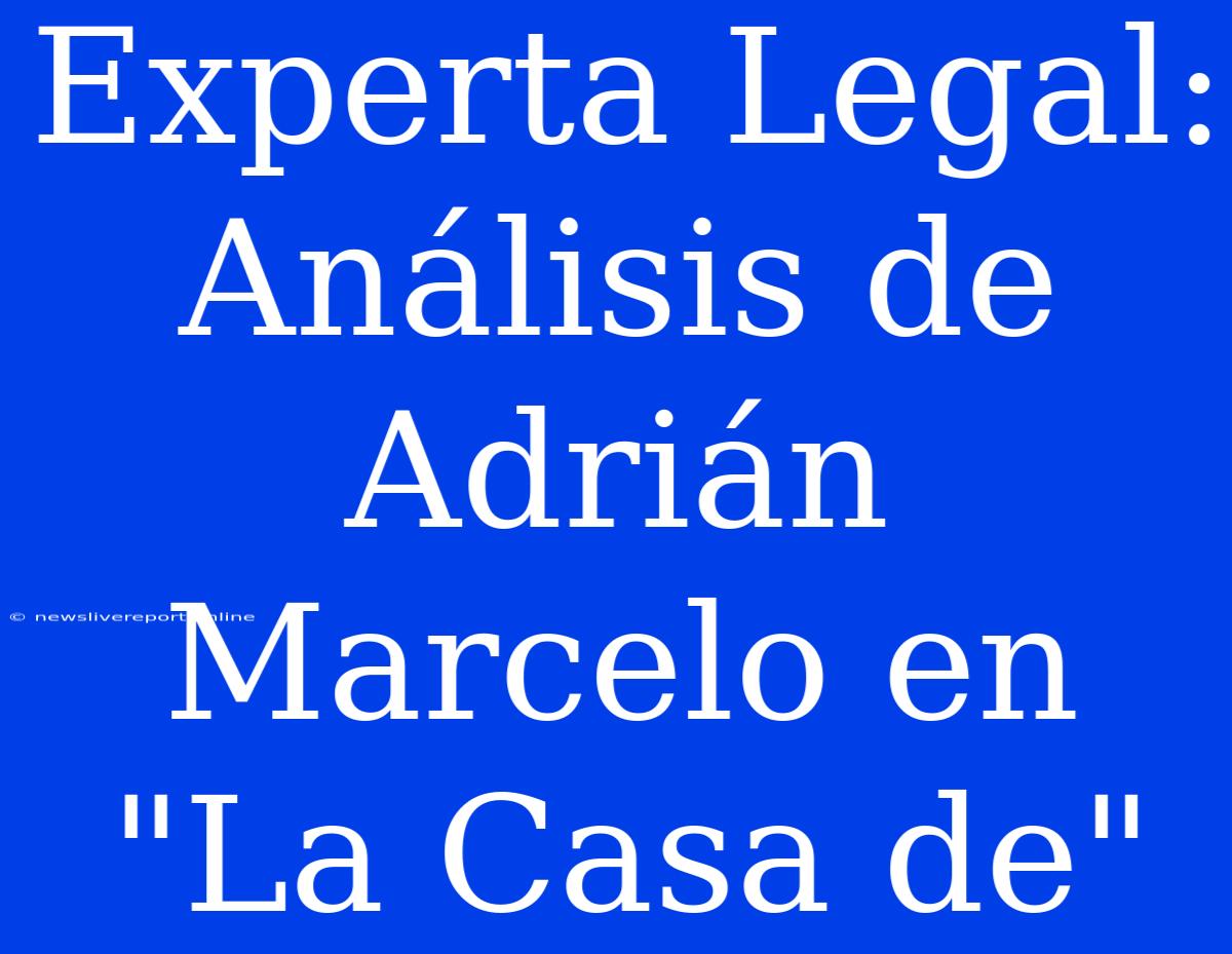 Experta Legal: Análisis De Adrián Marcelo En 