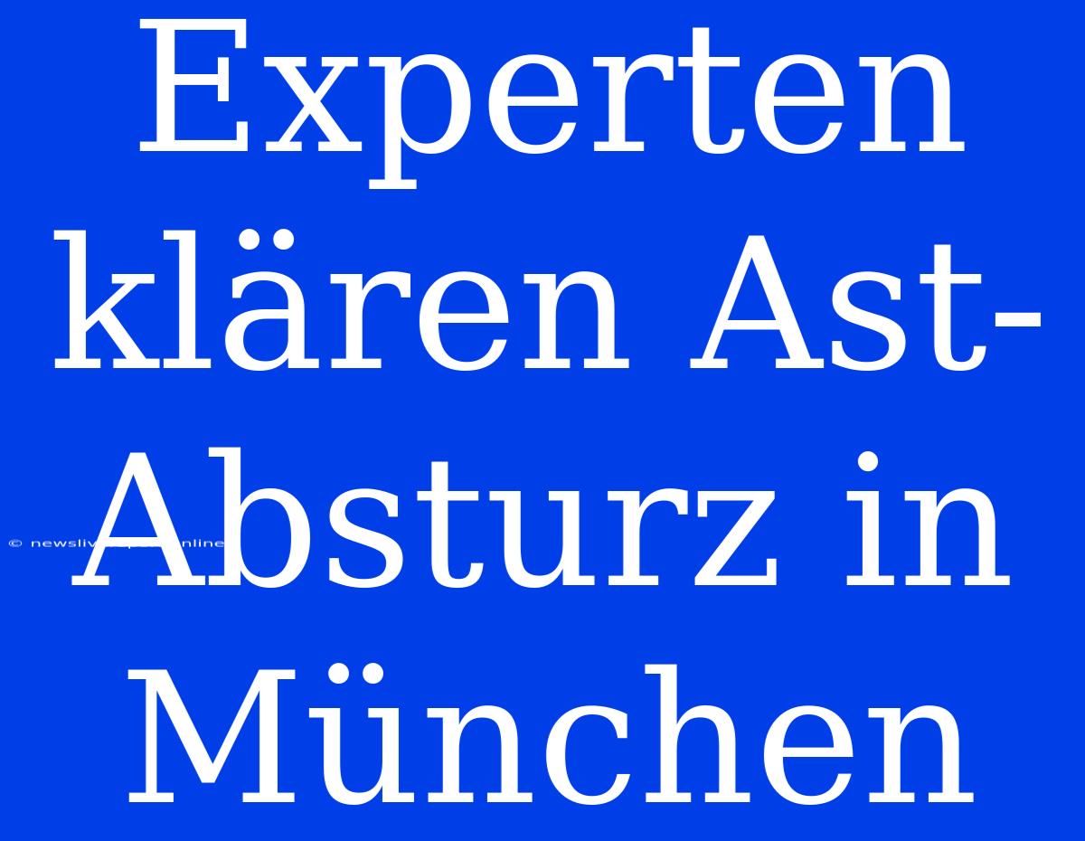 Experten Klären Ast-Absturz In München