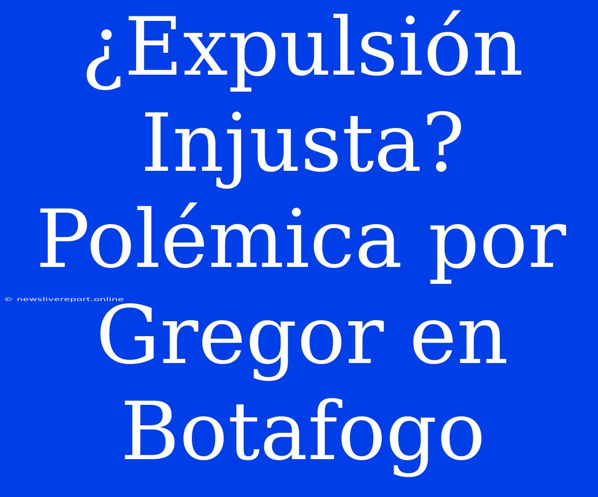 ¿Expulsión Injusta? Polémica Por Gregor En Botafogo