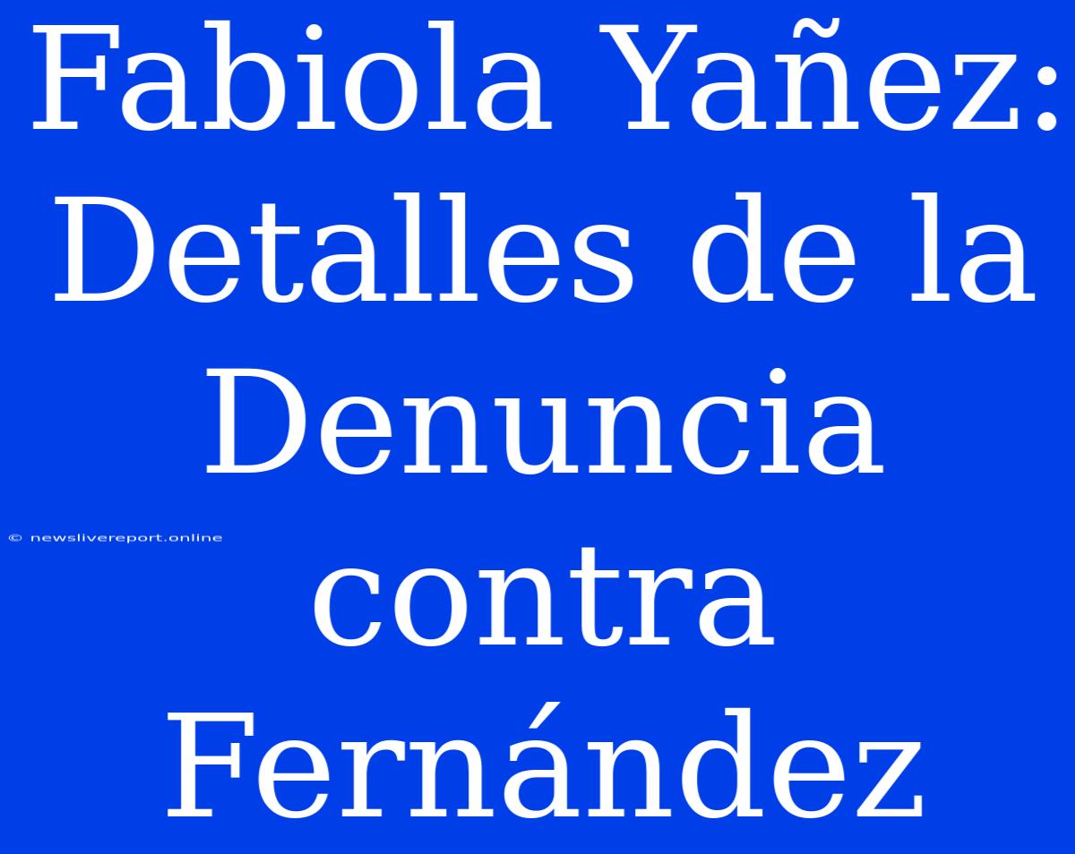 Fabiola Yañez: Detalles De La Denuncia Contra Fernández