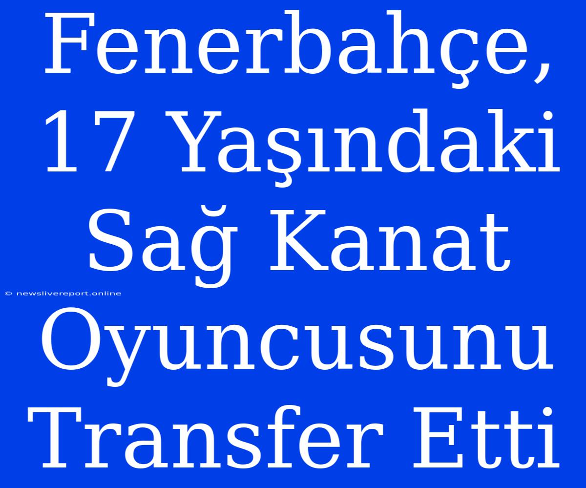 Fenerbahçe, 17 Yaşındaki Sağ Kanat Oyuncusunu Transfer Etti