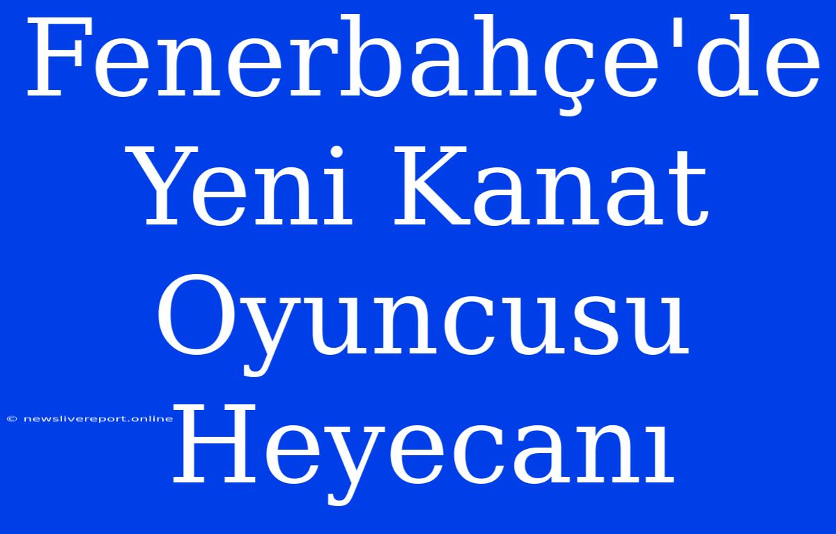 Fenerbahçe'de Yeni Kanat Oyuncusu Heyecanı