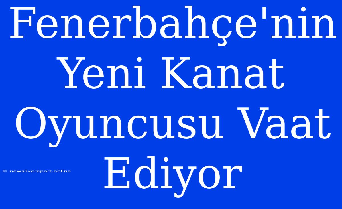 Fenerbahçe'nin Yeni Kanat Oyuncusu Vaat Ediyor