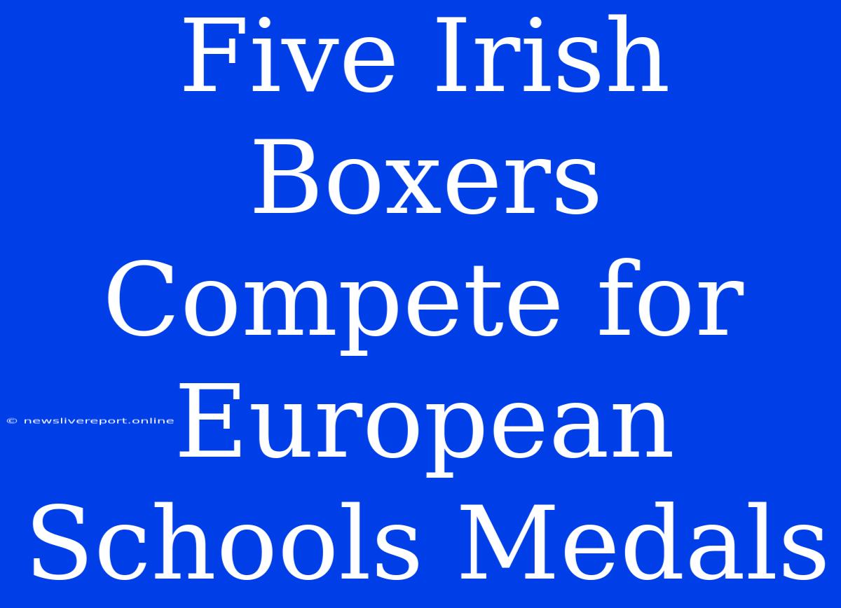 Five Irish Boxers Compete For European Schools Medals