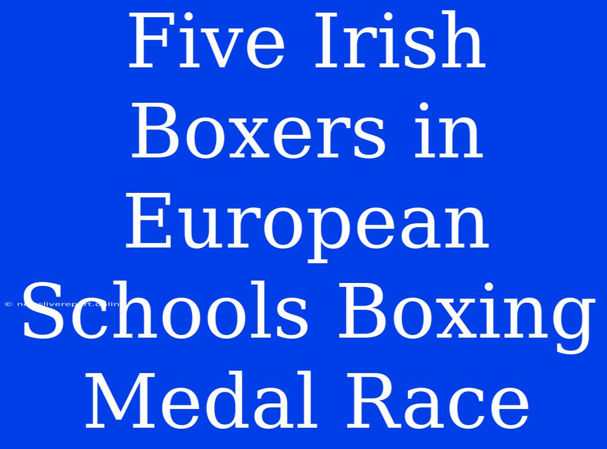 Five Irish Boxers In European Schools Boxing Medal Race