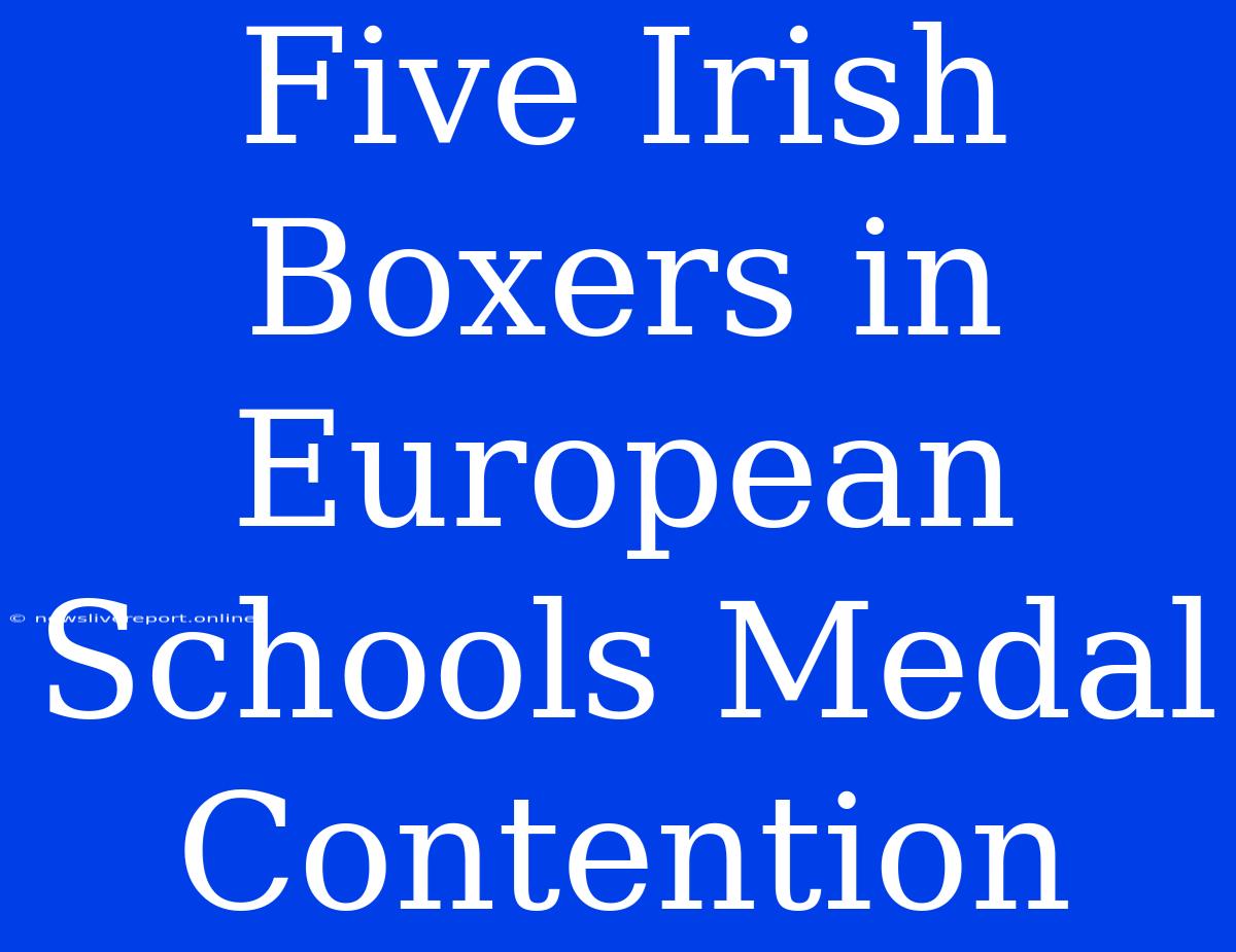 Five Irish Boxers In European Schools Medal Contention