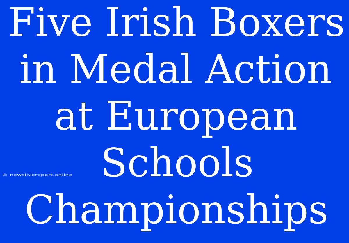 Five Irish Boxers In Medal Action At European Schools Championships