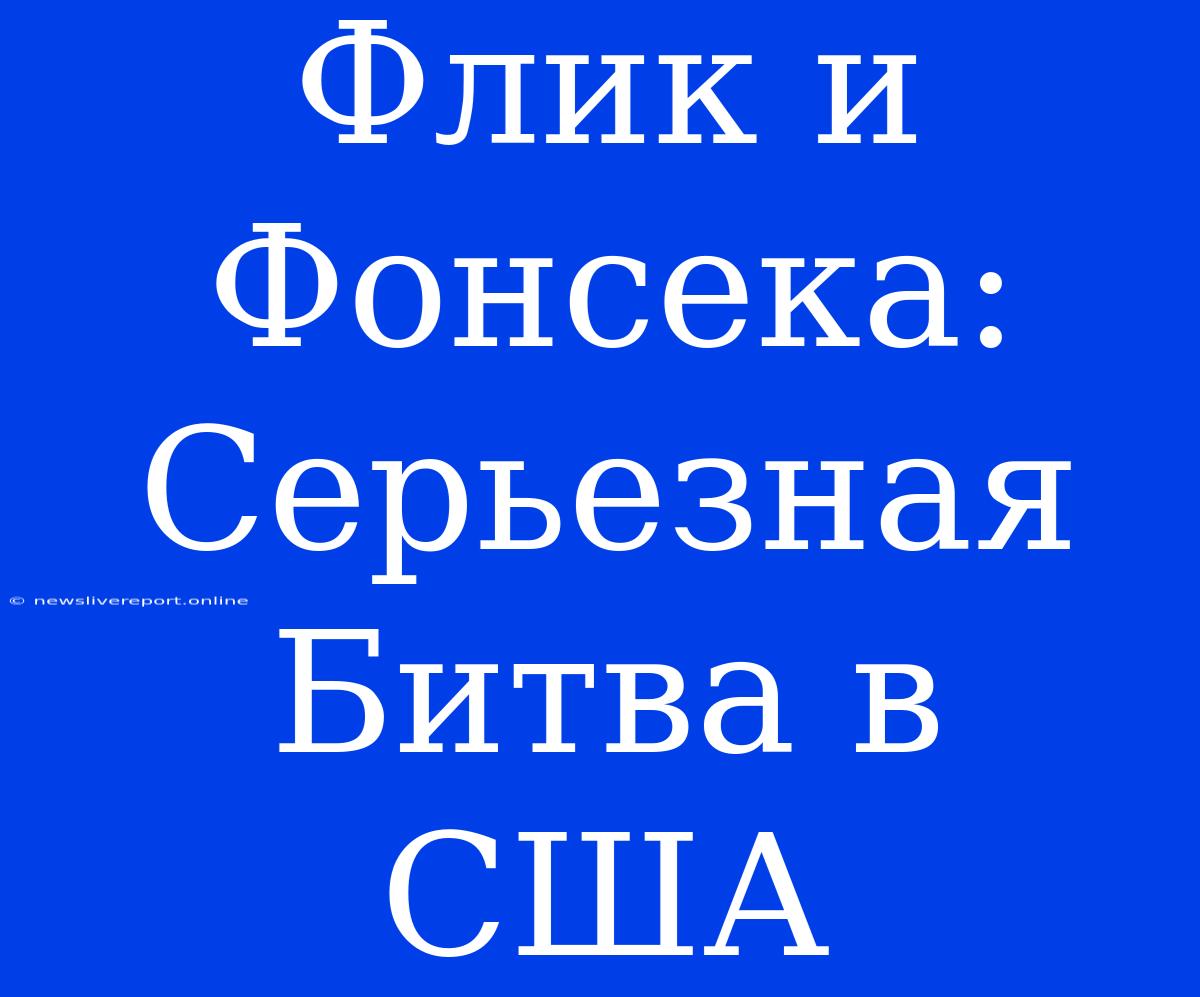 Флик И Фонсека: Серьезная Битва В США