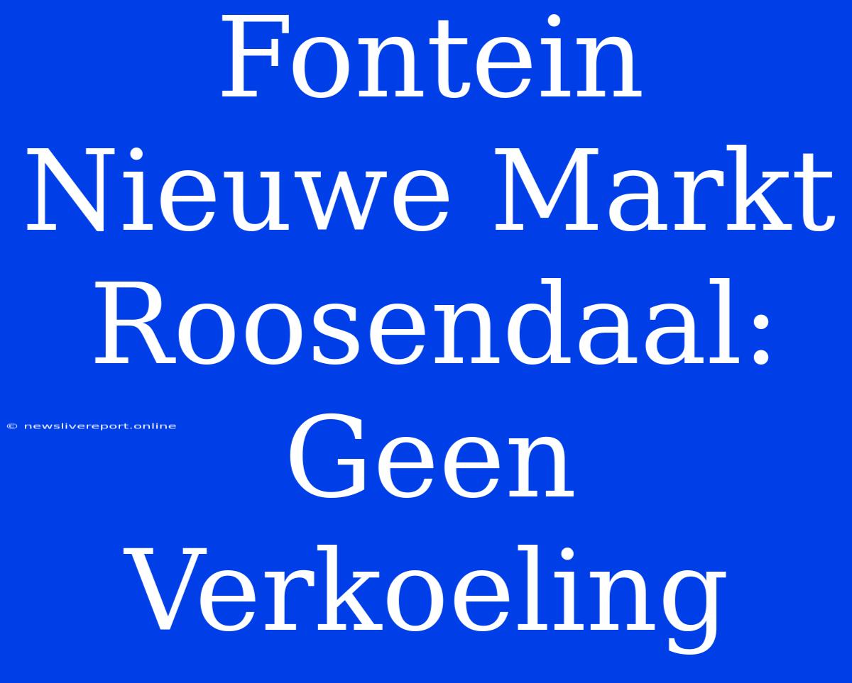 Fontein Nieuwe Markt Roosendaal: Geen Verkoeling