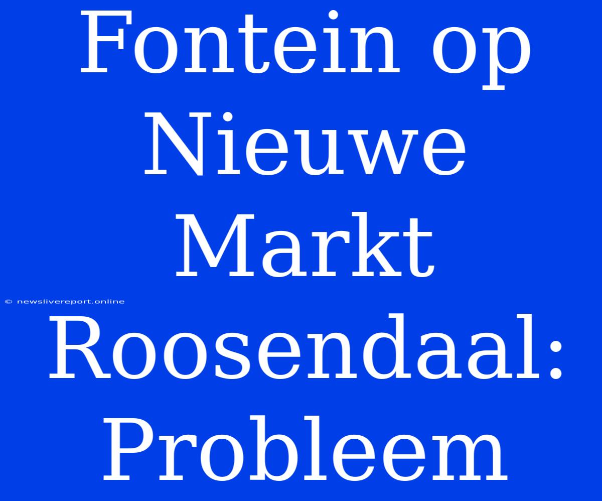 Fontein Op Nieuwe Markt Roosendaal: Probleem