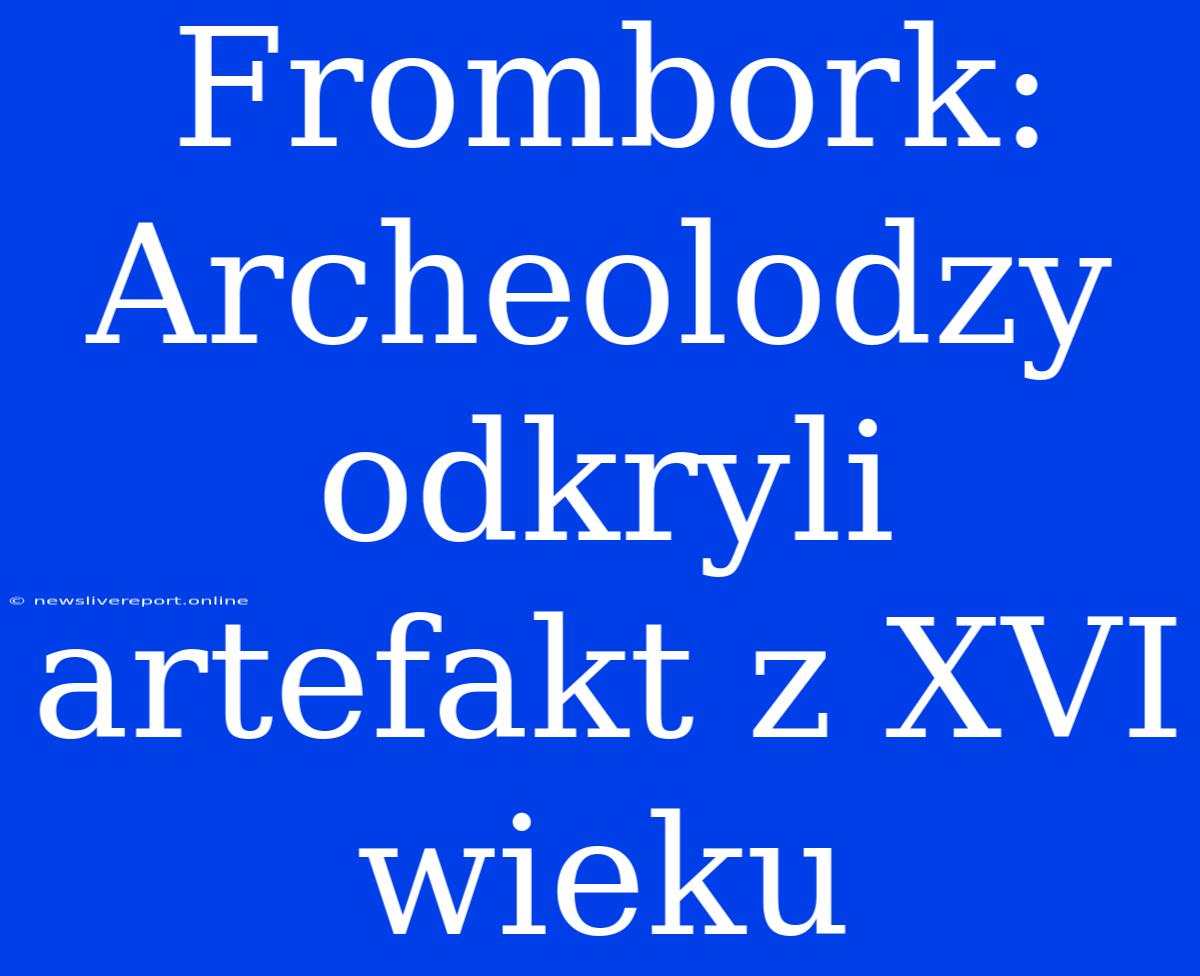 Frombork: Archeolodzy Odkryli Artefakt Z XVI Wieku