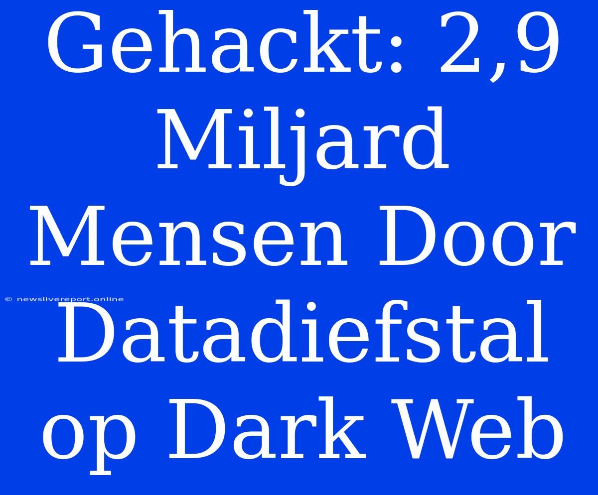 Gehackt: 2,9 Miljard Mensen Door Datadiefstal Op Dark Web