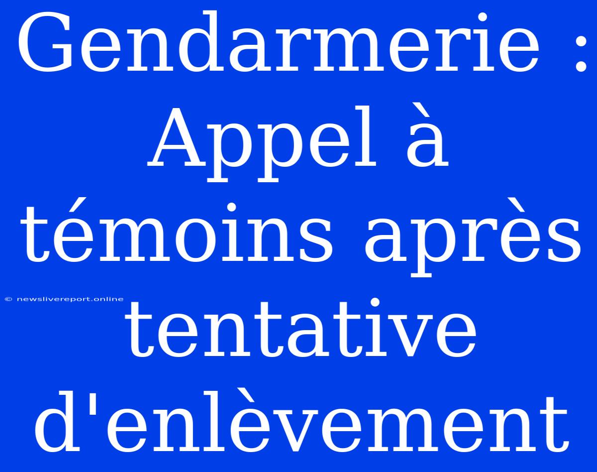 Gendarmerie : Appel À Témoins Après Tentative D'enlèvement