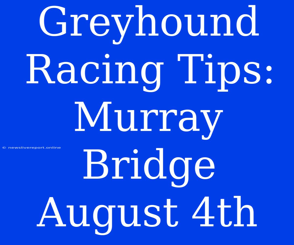 Greyhound Racing Tips: Murray Bridge August 4th