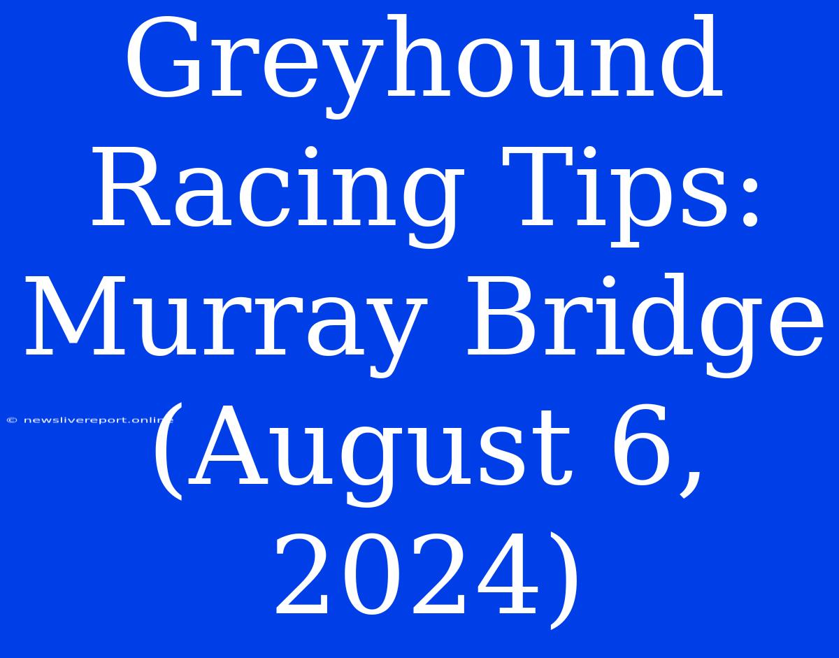 Greyhound Racing Tips: Murray Bridge (August 6, 2024)