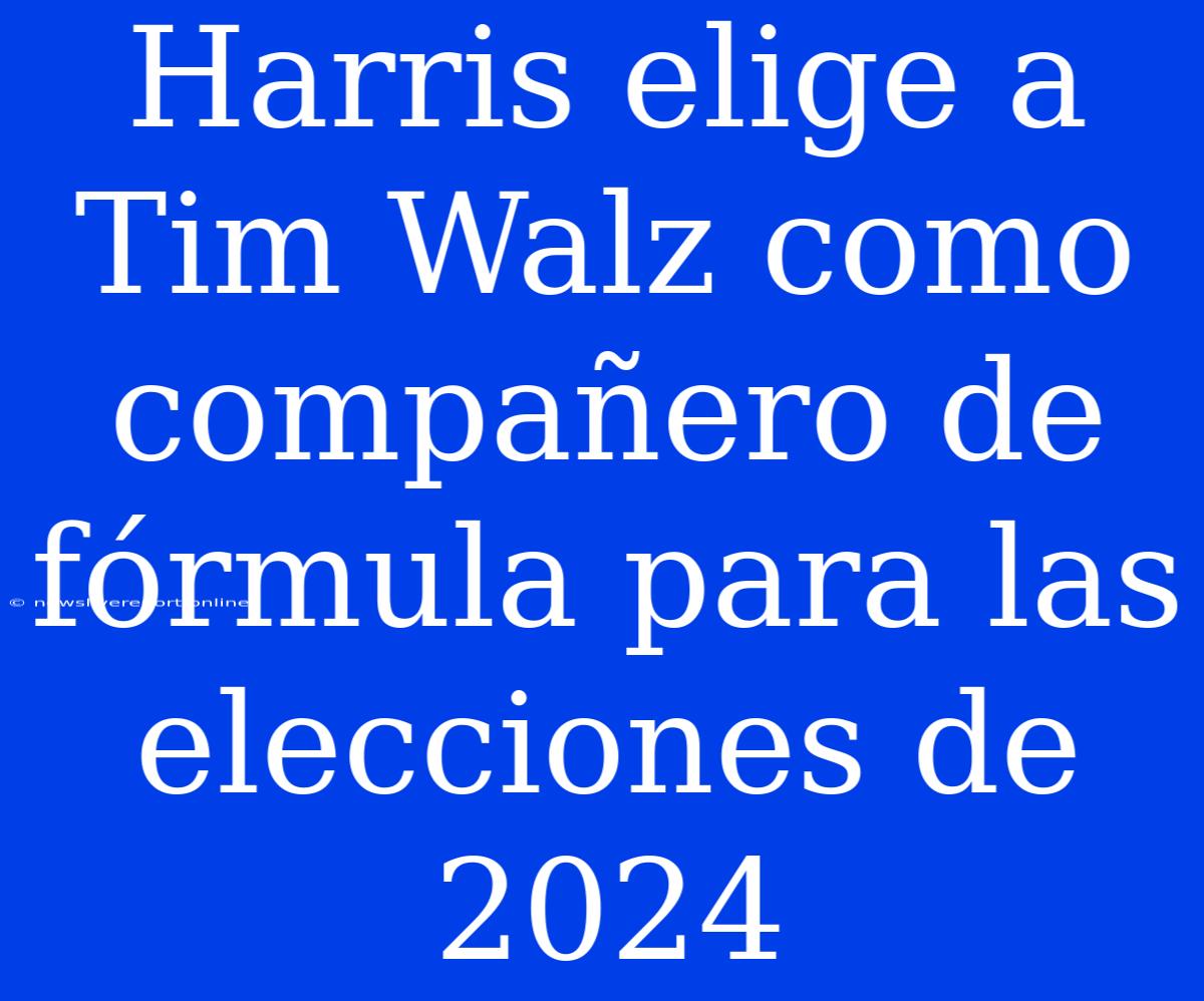 Harris Elige A Tim Walz Como Compañero De Fórmula Para Las Elecciones De 2024