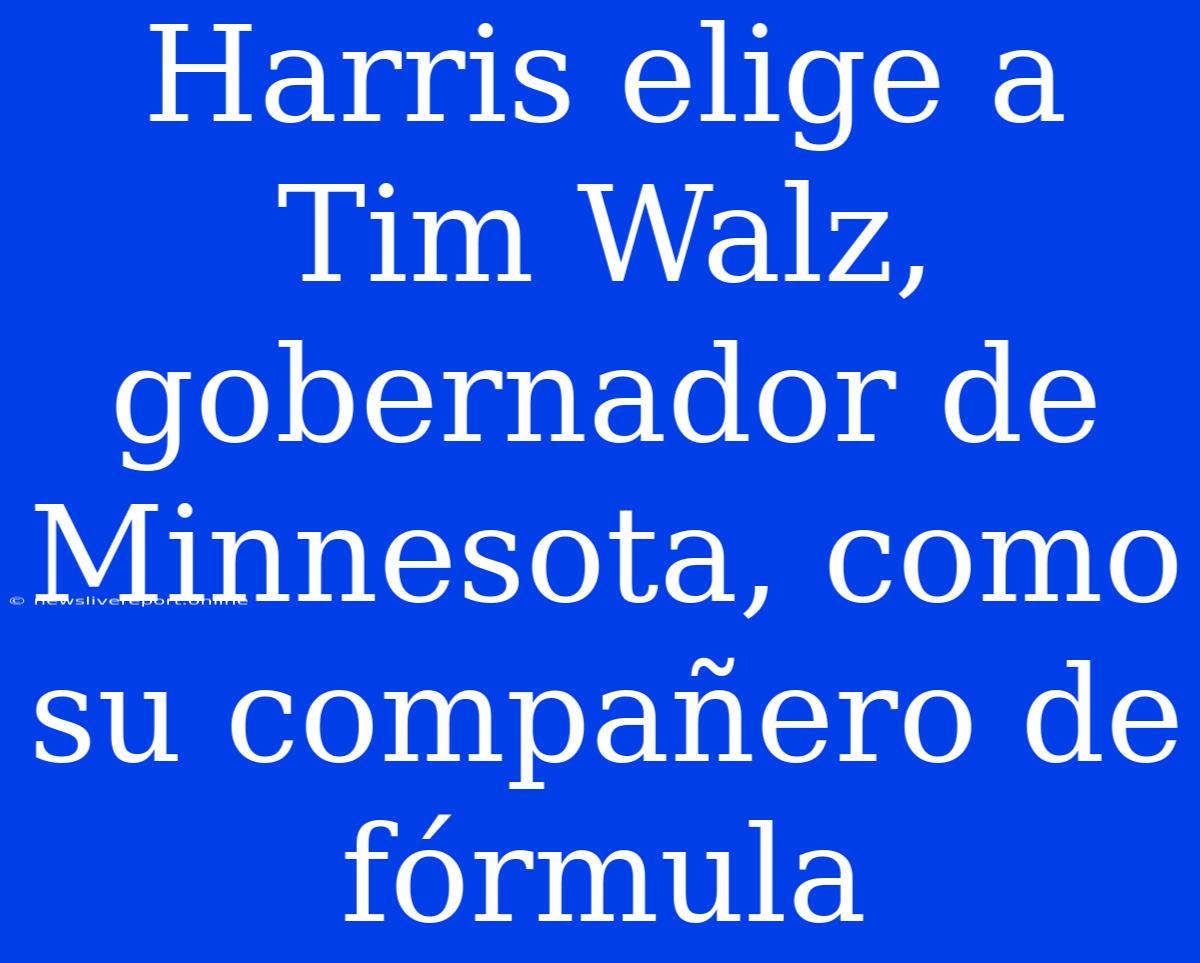 Harris Elige A Tim Walz, Gobernador De Minnesota, Como Su Compañero De Fórmula