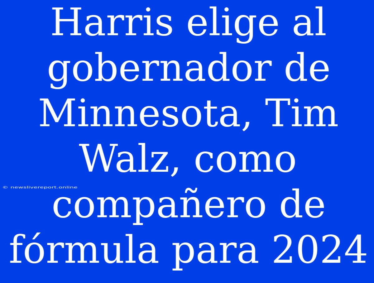 Harris Elige Al Gobernador De Minnesota, Tim Walz, Como Compañero De Fórmula Para 2024