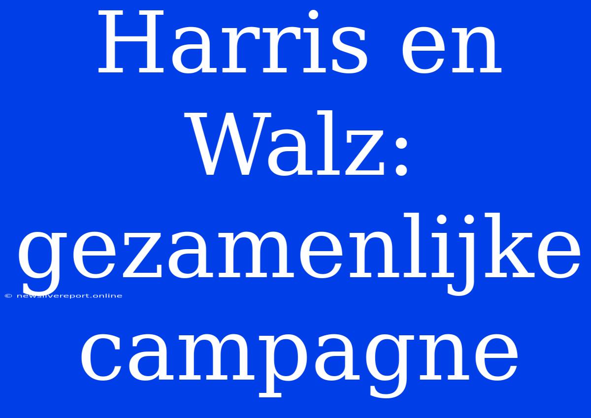 Harris En Walz: Gezamenlijke Campagne