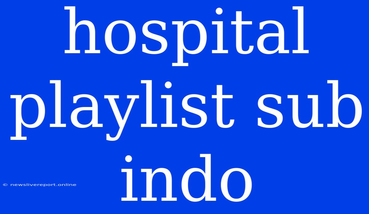 Hospital Playlist Sub Indo