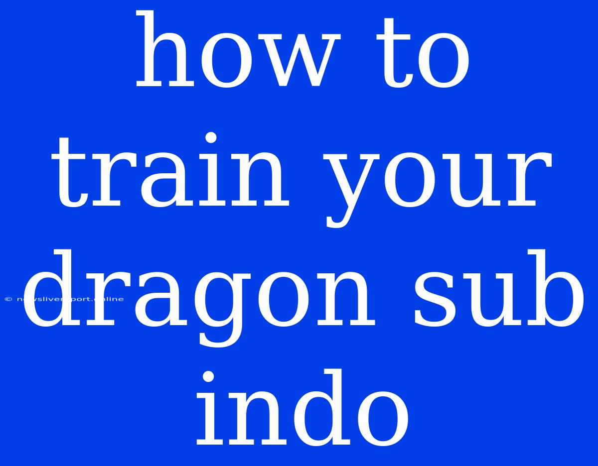 How To Train Your Dragon Sub Indo