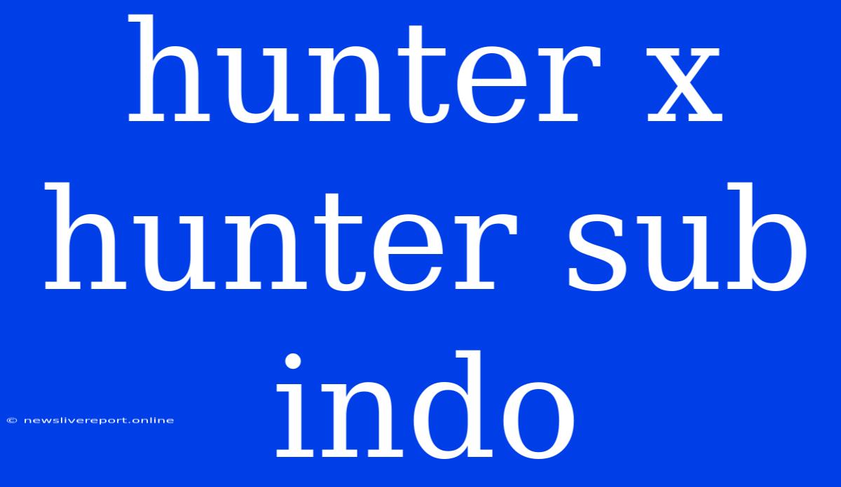 Hunter X Hunter Sub Indo