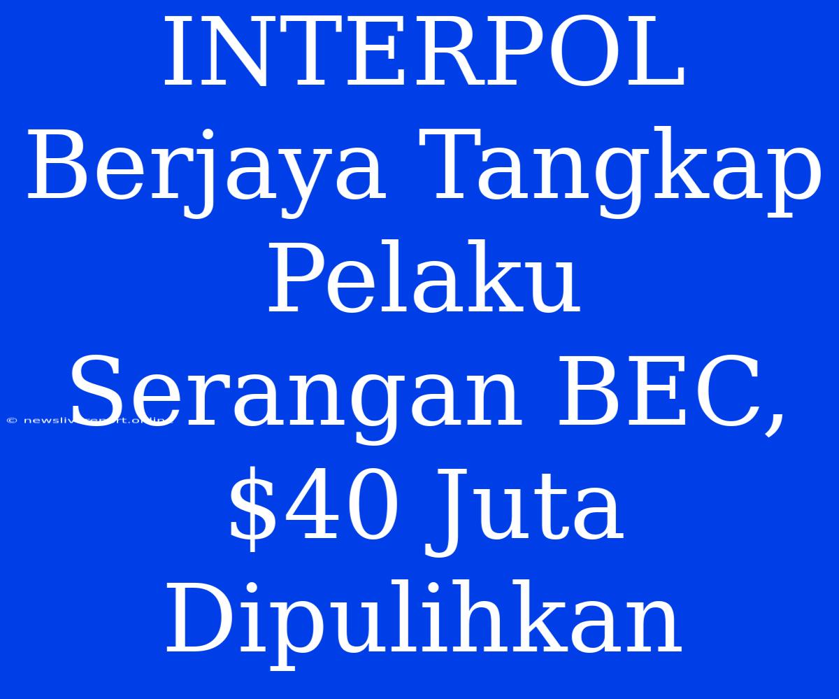 INTERPOL Berjaya Tangkap Pelaku Serangan BEC, $40 Juta Dipulihkan