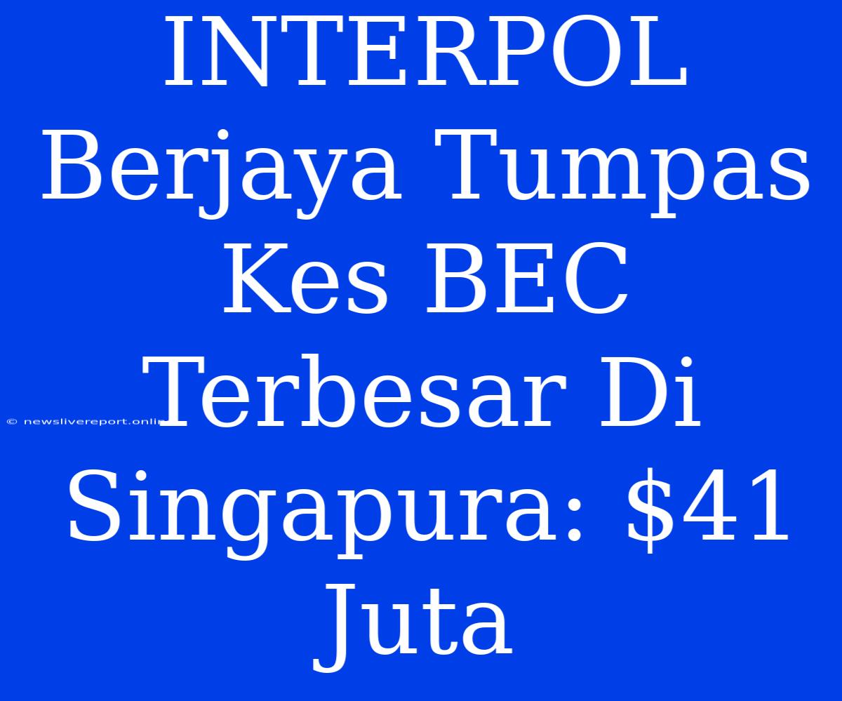 INTERPOL Berjaya Tumpas Kes BEC Terbesar Di Singapura: $41 Juta